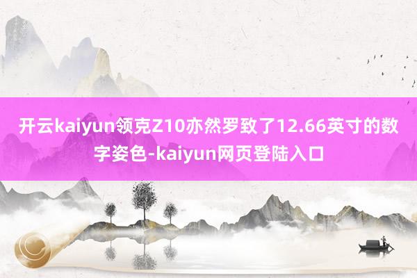 开云kaiyun领克Z10亦然罗致了12.66英寸的数字姿色-kaiyun网页登陆入口