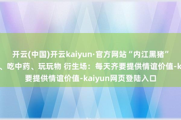 开云(中国)开云kaiyun·官方网站“内江黑猪”住“别墅”、听音乐、吃中药、玩玩物 衍生场：每天齐要提供情谊价值-kaiyun网页登陆入口