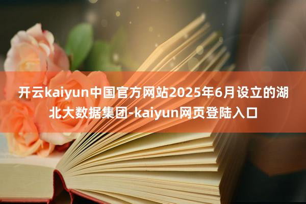开云kaiyun中国官方网站　　2025年6月设立的湖北大数据集团-kaiyun网页登陆入口